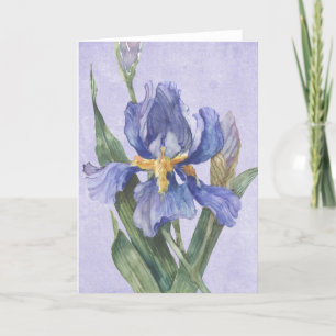 Carte Iris
