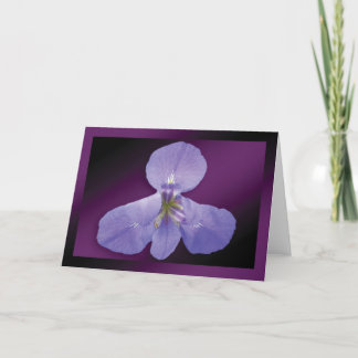 Carte "Iris" - Arrière - plan violet foncé GC