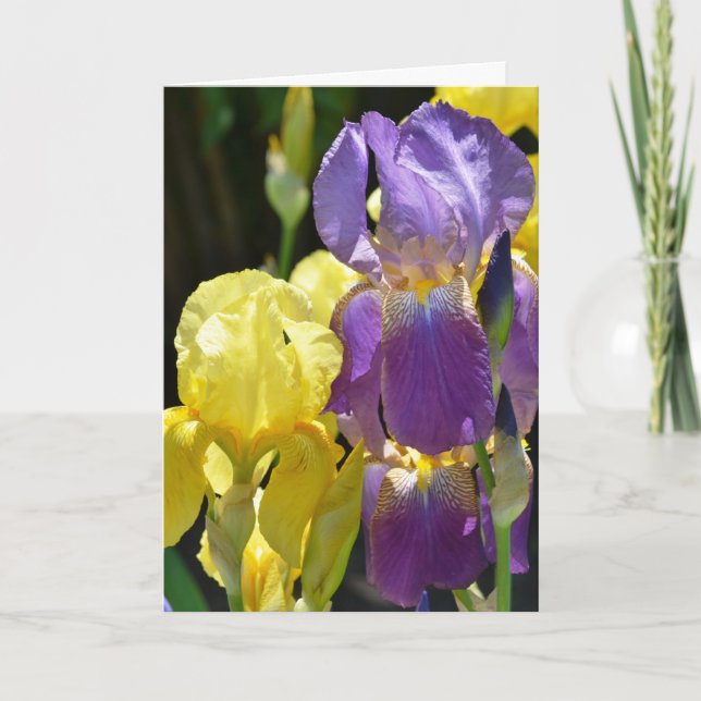 Carte Iris au printemps (Devant)