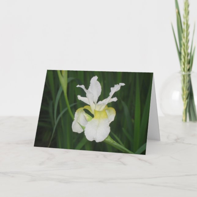 Carte Iris blanc (Devant)