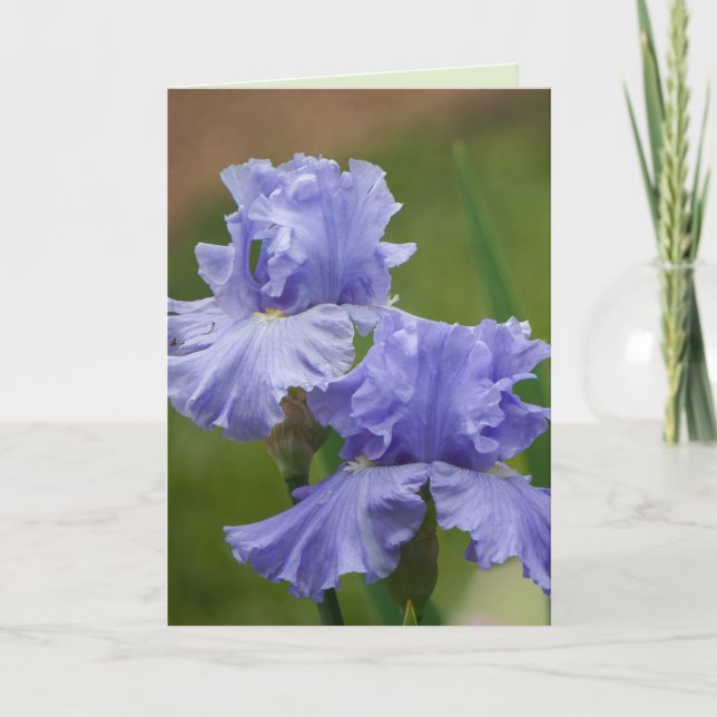 Carte Iris Délice (Devant)