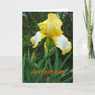 Carte Iris Jaune, Anniversaire
