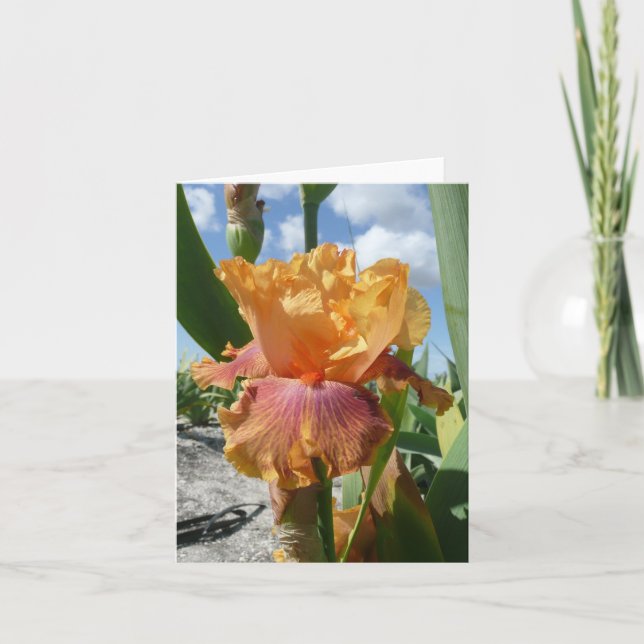 CARTE IRIS - ROCKET BOUTEILLE - Carte de note blan (Devant)