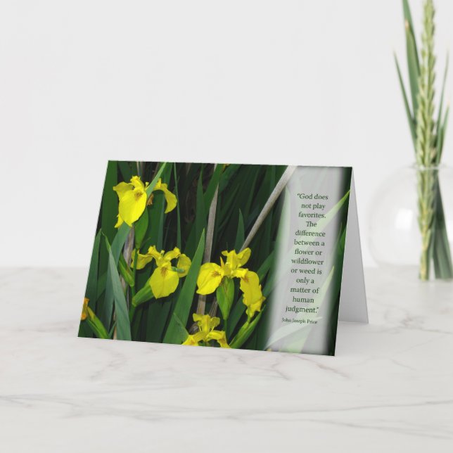 Carte Iris sauvages jaunes (Devant)