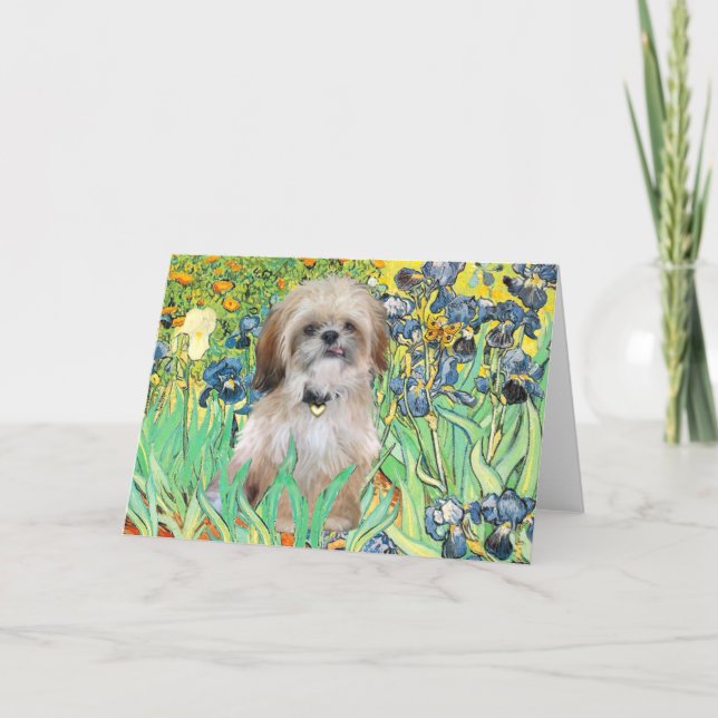 Carte Irises - Shih Tzu (P) (Devant)