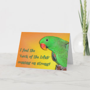 Carte Irish Kiss