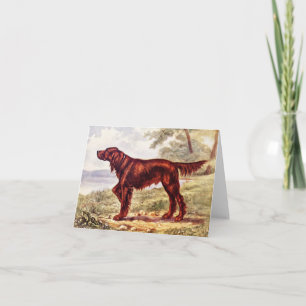 Carte Irish Setter 1900