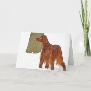 Carte Irish Setter hiver Anniversaire
