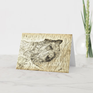 Carte Irish Wolfhound "Laissez les chiens dormir mentir"