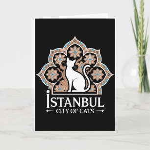 Carte Istanbul Ville Des Chats Patrimoine Turc Hagia Sop