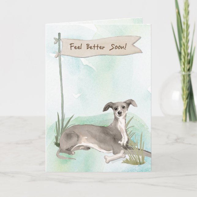 Carte Italien Greyhound se sentent mieux après la chirur (Devant)