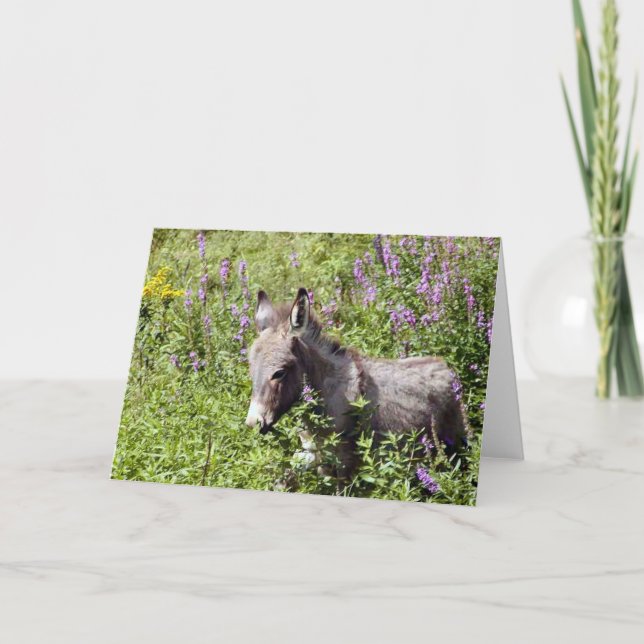 Carte Itsy (Devant)