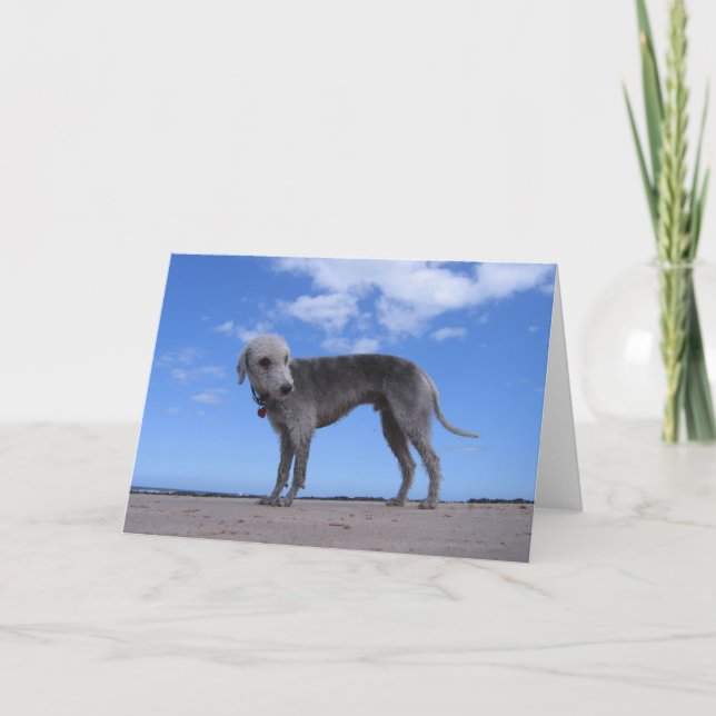 Carte ixus 057 de canon (Devant)