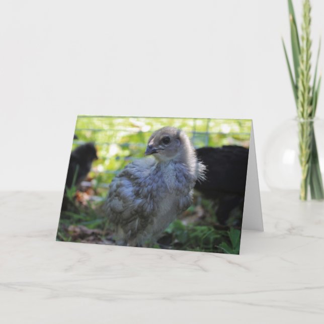 Carte Jacinthe des bois (Devant)