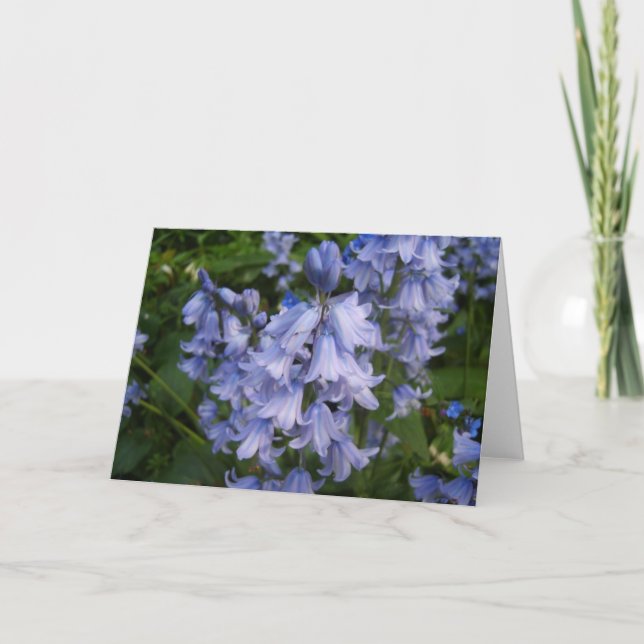 Carte Jacinthes des bois (Devant)