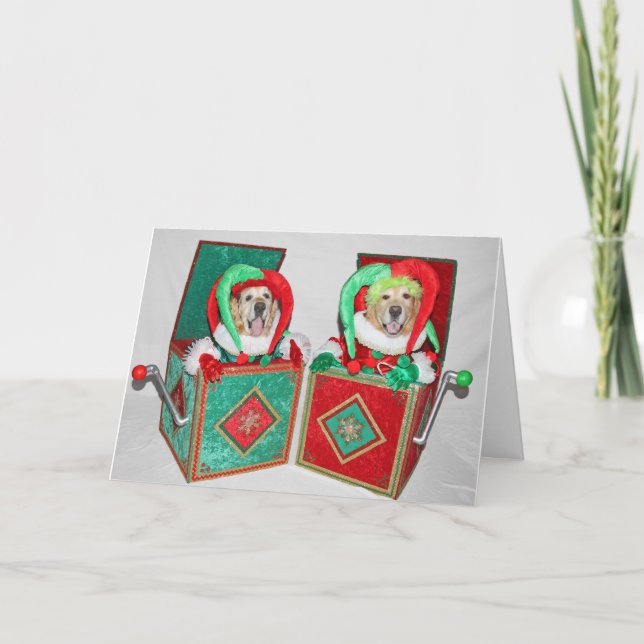 Carte Jack Rtriever en boîte Noël (Devant)