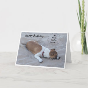 Carte Jack Russell Chien Anniversaire humoristique