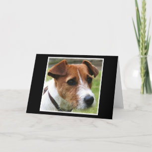 Carte Jack Russell Terrier