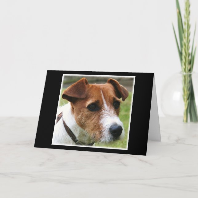 Carte Jack Russell Terrier (Devant)
