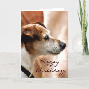 CARTE JACK RUSSELL TERRIER CHIEN