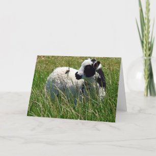 Carte Jacob Ram Lamb Pâques