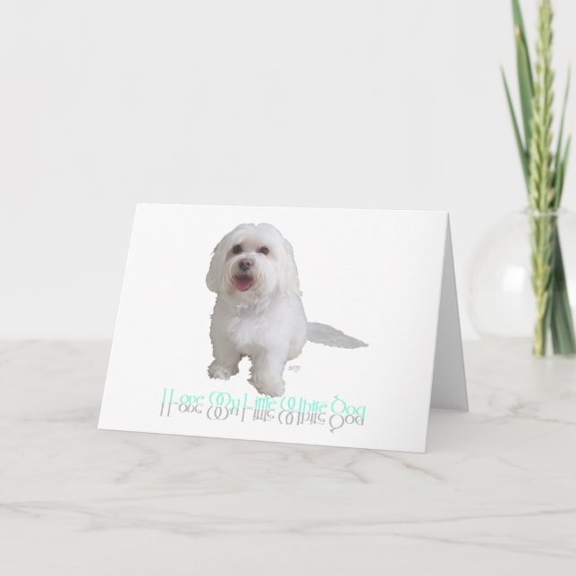 Carte J'adore mon petit chien blanc - Havanais (Devant)