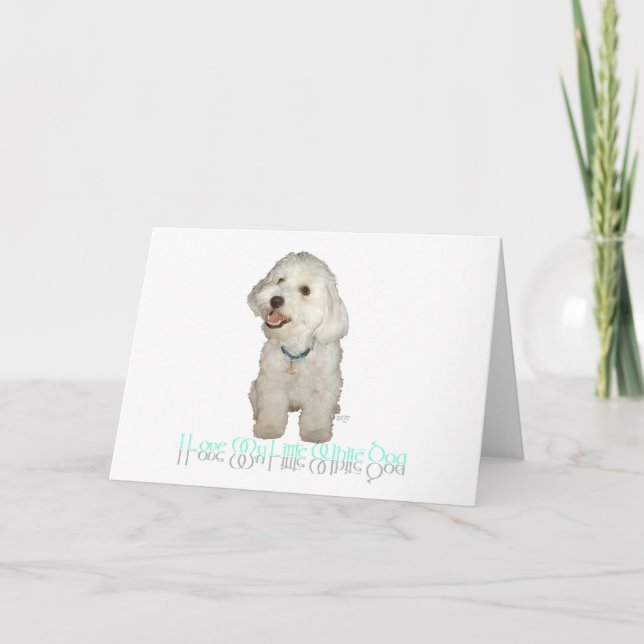 Carte J'adore mon petit chien blanc - Havanais (Devant)