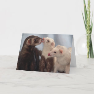 Carte J'aime des furets