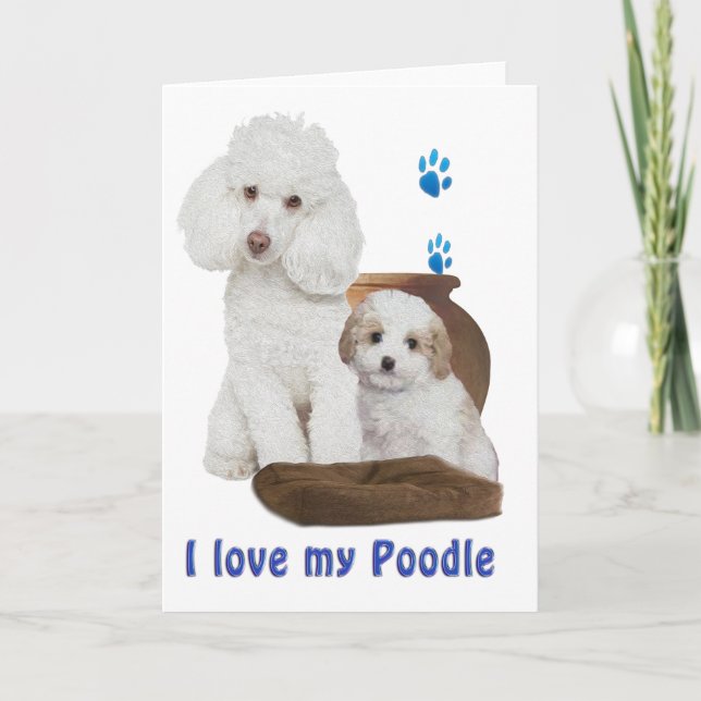 Carte J'aime mon caniche (Devant)