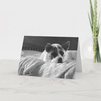 Carte J'aimerais que vous soyez ici.