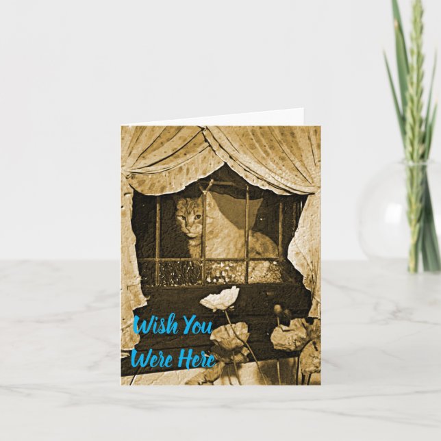 Carte J'aimerais que vous soyez ici~Chat dans la fenêtre (Devant)