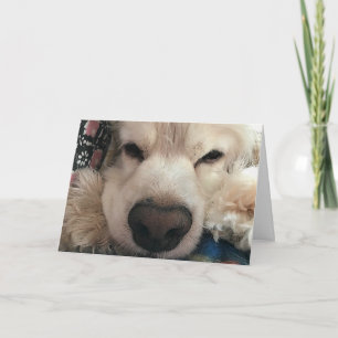 CARTE J'AIMERAIS "VOUS VOIR" POUR VOTRE ANNIVERSAIRE
