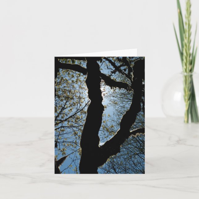 CARTE JAMAIS (Devant)