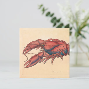 Carte James Sowerby Homard serbé