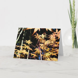 Carte Japon Maples 5 Photos Florales HGC