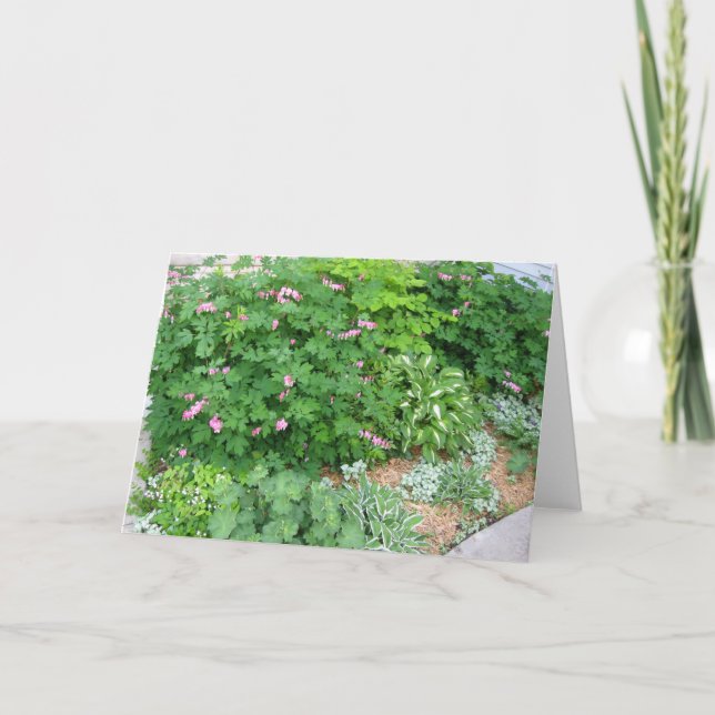 Carte Jardin 1 d'ombre (Devant)