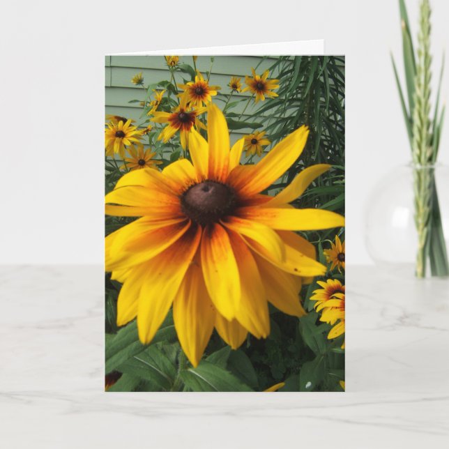 Carte Jardin d'agrément Noir-Eyed de Susan (Devant)