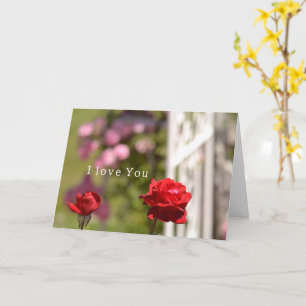 Carte Jardin d'amour de roses rouges vous aime