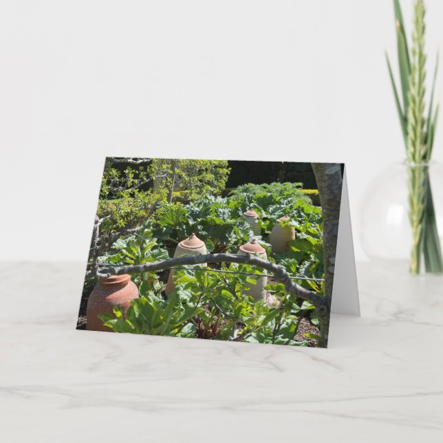 Carte Jardin de campagne avec Rhubarb et Pots en terre c (Devant)