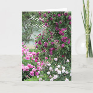 Carte Jardin de Roses