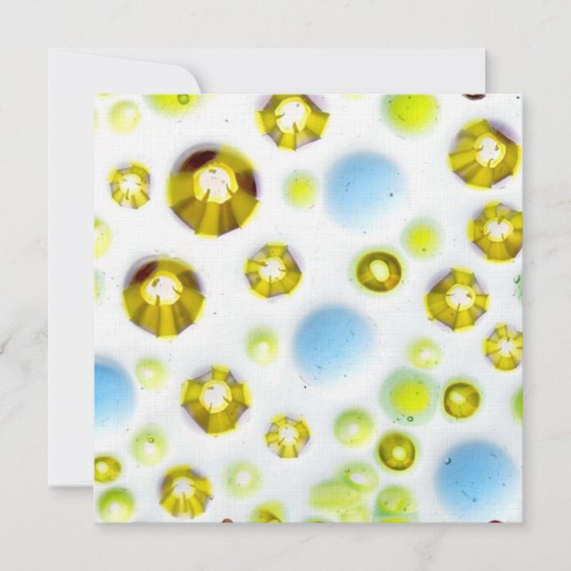 Carte jardin en verre no 3 (Devant)