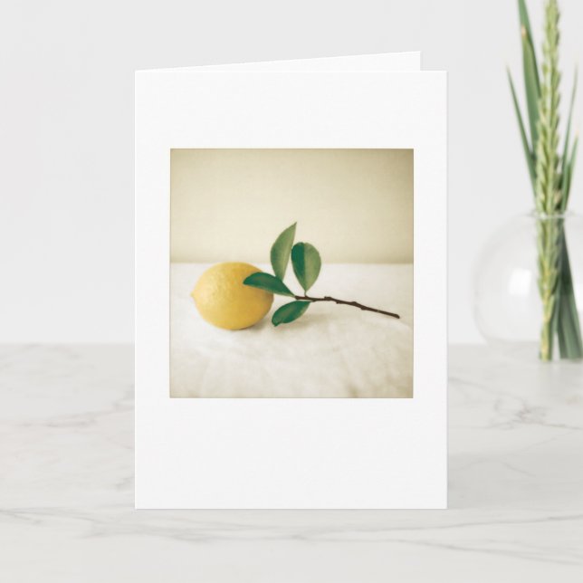 Carte Jardin Meyer Lemon peinture photo vierge (Devant)