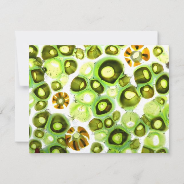 Carte jardin no 11 (Devant)