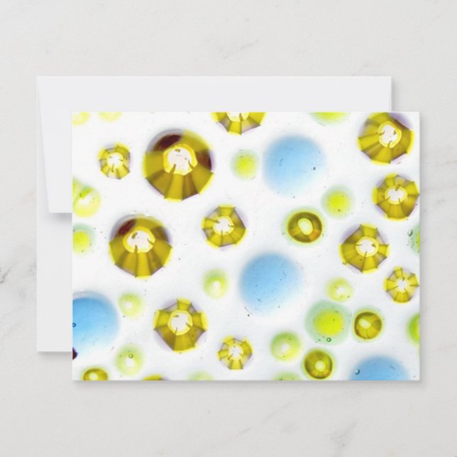 Carte jardin no 3 (Devant)