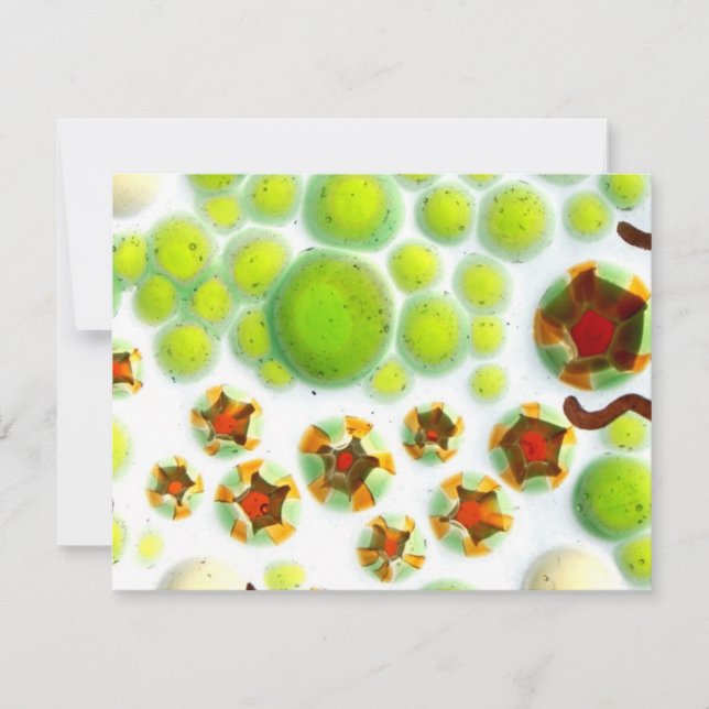 Carte jardin no 7 (Devant)