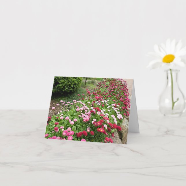 Carte Jardin rose (Petite plante)