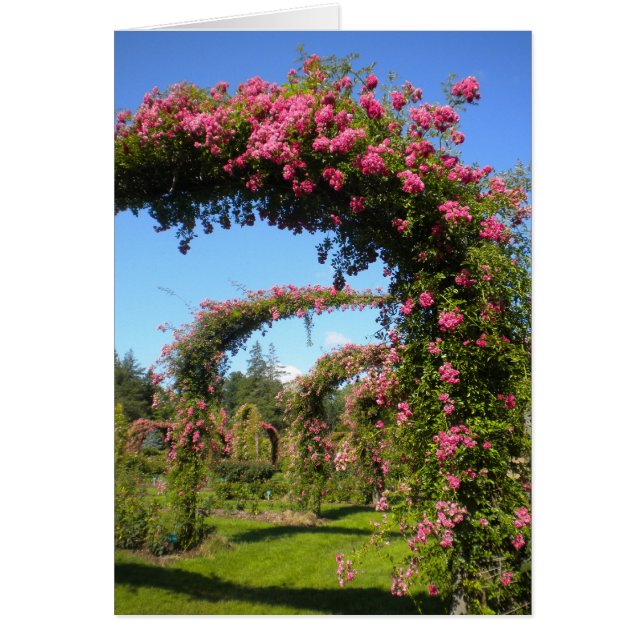 Carte Jardin Rose (Devant)