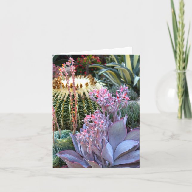 Carte Jardin succulent coloré (Devant)
