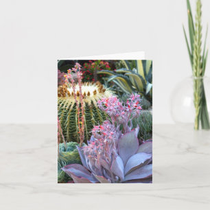 Carte Jardin succulent coloré