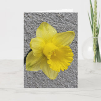 Carte Jaune Daffodil Mère de Fête